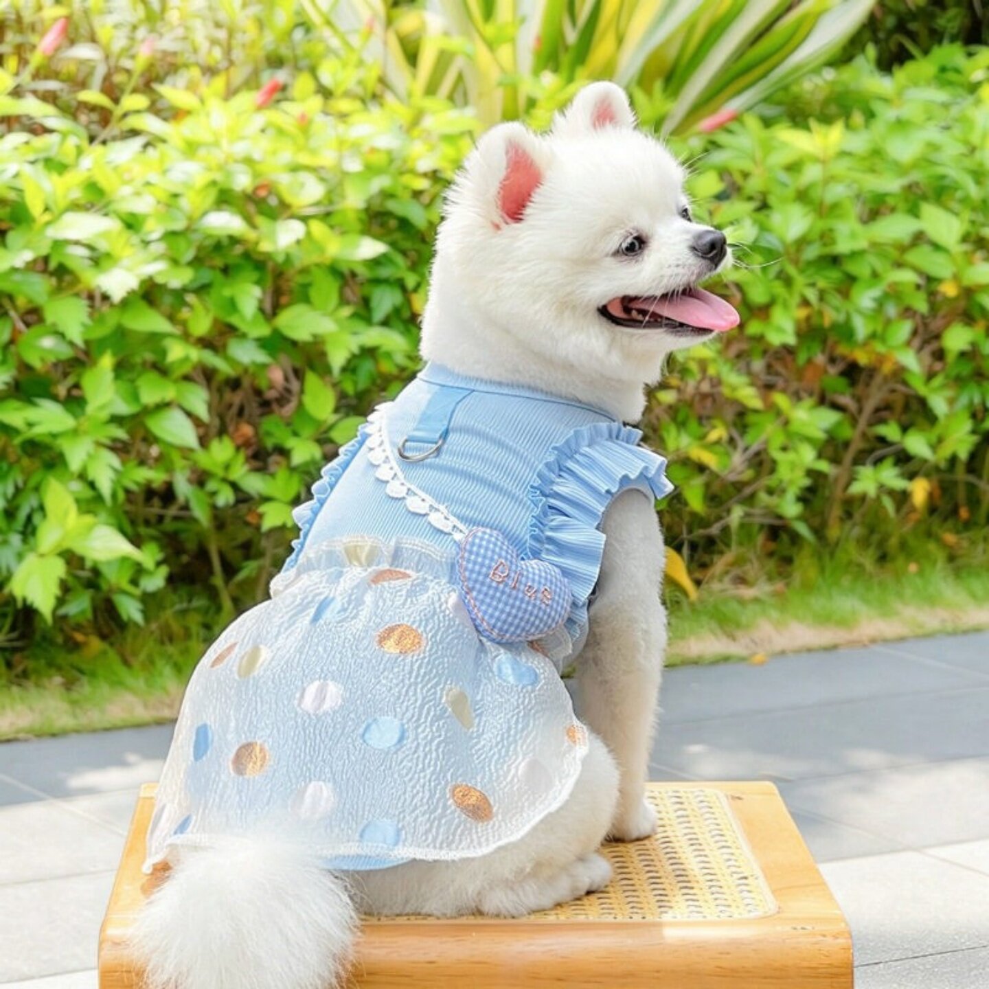 春夏冰丝薄款可牵引狗猫连衣裙