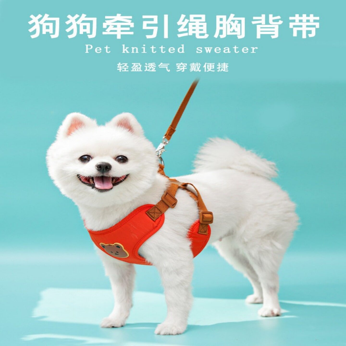 透气防咬可伸缩小型犬胸背牵引绳