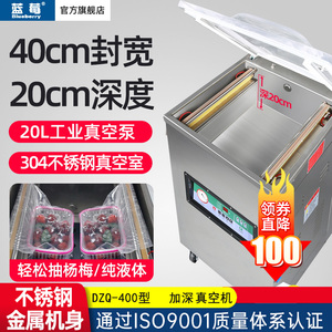 升级版400型加深单室真空包装机 商用食品抽真空机杨梅压缩封口机