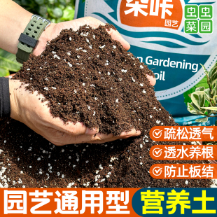 营养土有机花土通用型种养花种菜多肉专用泥炭土壤花卉绿植盆栽肥