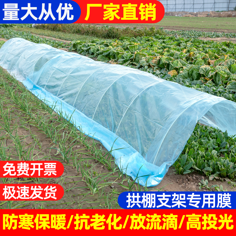 加厚防寒拱棚大棚菜棚膜保温耐用