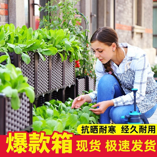 种菜花盆家庭阳台神器蔬菜种植箱楼顶长方形塑料特大果树花卉