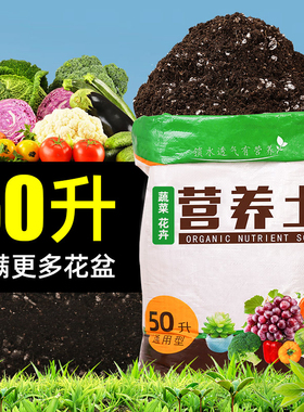 种菜土壤蔬菜泥炭土整包家用营养土绿萝养兰花盆栽专用通用型透气