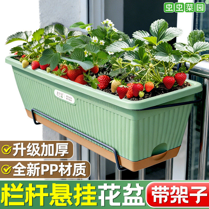 壁挂花长条型种菜神器图片
