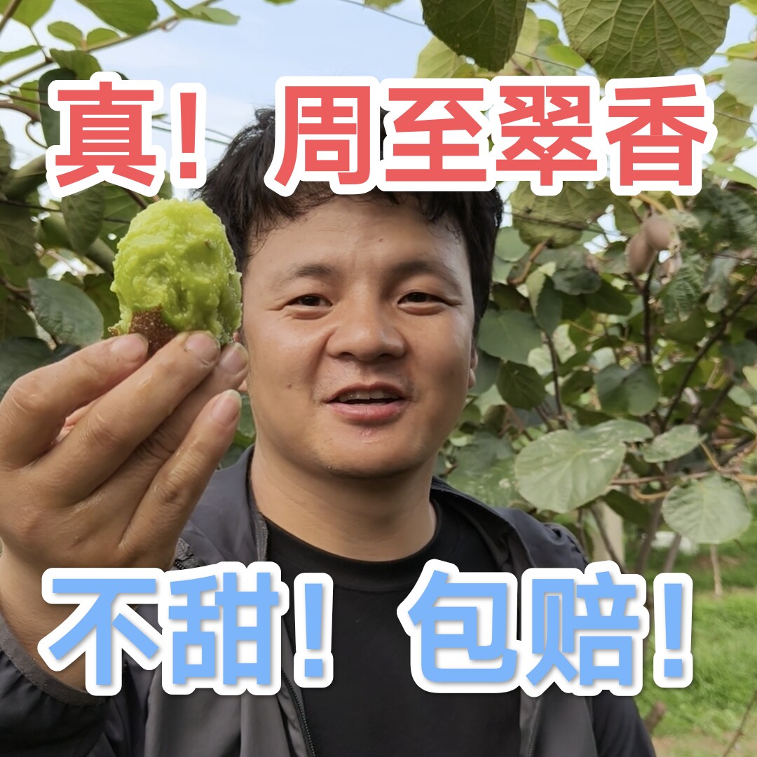 【京东包邮】陕西周至正宗翠香猕猴桃绿心鲜果现摘现发孕妇VC爆汁