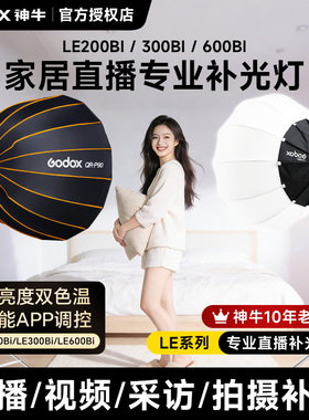 Godox神牛LE200Bi/LE300Bi双色温直播补光灯 拍摄专用摄影灯家居主播拍照面光灯LED美颜发丝打光灯影棚常亮灯
