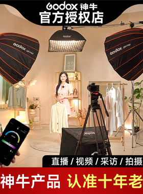 Godox神牛SL150W直播补光灯专业直播间柔光摄影常亮打光灯专用珠宝球形拍照服装主播室内灯光视频拍摄深抛led