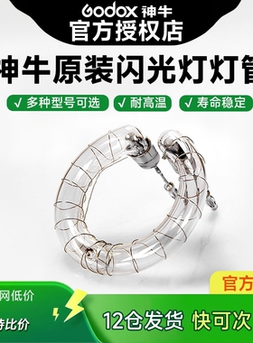 Godox神牛闪光灯管160W/200W/250W/SK400/SP400/600W/800W/1200W影棚