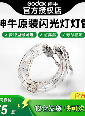 Godox神牛闪光灯管160W/200W/250W/SK400/SP400/600W/800W/1200W影棚