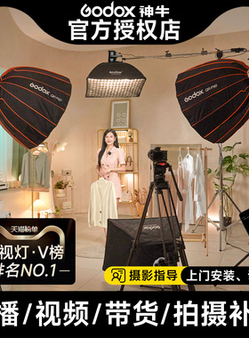 Godox神牛SL200WIIIBI三代补光灯直播摄影灯常亮灯柔光灯主播服装珠宝顶灯深抛灯拍摄拍照室内拍视频打光灯