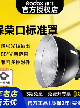 标准罩55°度反光罩RFT-13保荣卡口RFT-19遮光罩45度长焦反光罩摄影灯罩补光灯闪光灯保护罩附件硬光罩光效