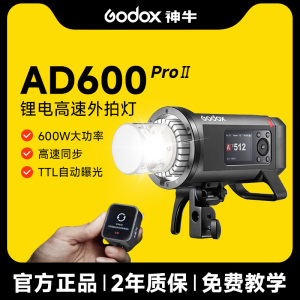 神牛AD600ProIIAD600BMII二代外拍闪光灯TTL高速同步佳能尼康索尼相机摄影灯户外便携人像拍摄补光灯外拍灯