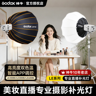 Godox神牛LE200Bi/LE300Bi直播补光灯 美妆美颜双色温LED摄影灯深抛柔光箱视频常亮灯室内室外影棚拍摄打光灯