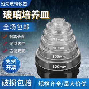 实验高硼硅玻璃培养皿30/35/60/75/90/100/120/150mm细菌平皿