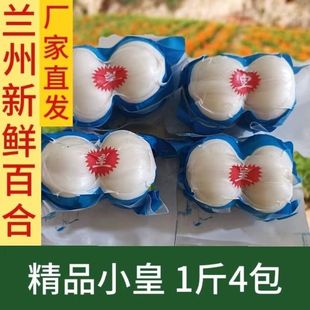 甘肃土特产兰州百合兰州官方旗舰店特级兰州精品四头皇新鲜甜百合