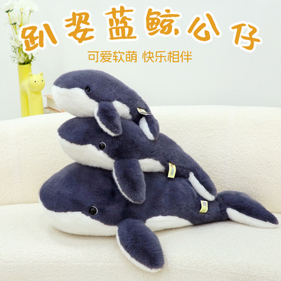 蓝鲸毛绒玩具鲸鱼公仔海洋动物园礼品摆件娃娃抱枕沙发床上靠垫软