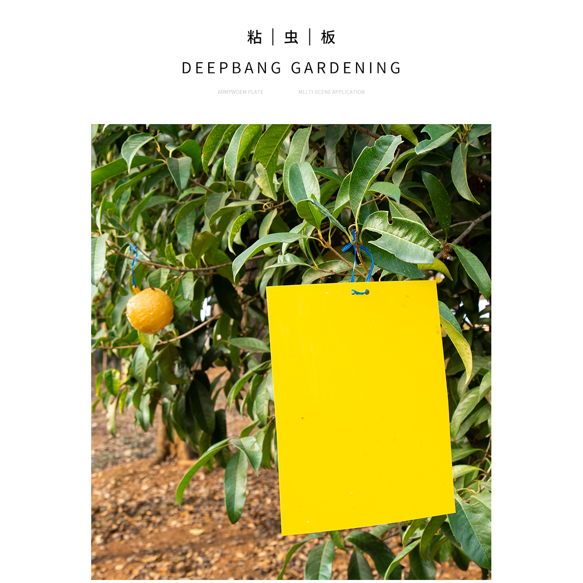 粘虫板黄板双面诱虫板大棚专用灭苍蝇粘板果园庭院果蝇蚊子诱捕器