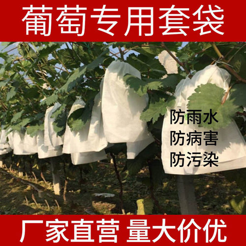 无纺布葡萄套袋防水防虫袋露天水果专用套袋枇杷防鸟透气保护袋