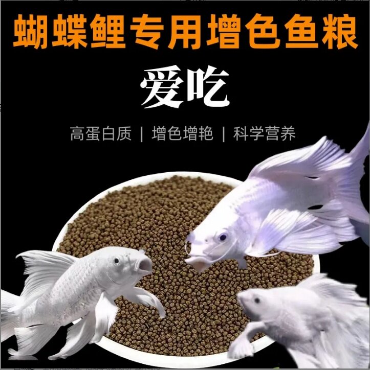 蝴蝶鲤鱼饲料高蛋白鱼粮增色增体通用型上浮观赏鱼鱼苗金鱼饲料