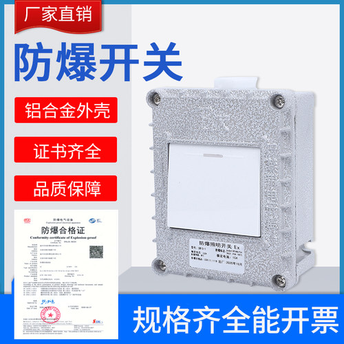 包邮防爆10a明装暗装86型开关