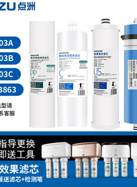 点洲滤芯适用沁园净水器家用厨房直饮QR-RL-403A/B/C/KRL3863全套