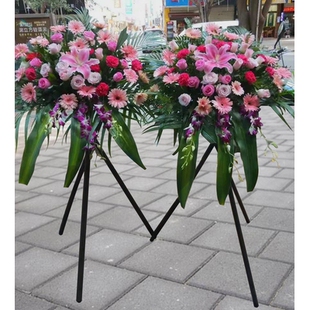 南京玄武区玄武湖紫金山中山陵红山动物园火车站开业花篮庆典乔迁