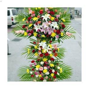 泰安泰山区农业大学新华城创业大街天外村医学院开业花篮庆典乔迁