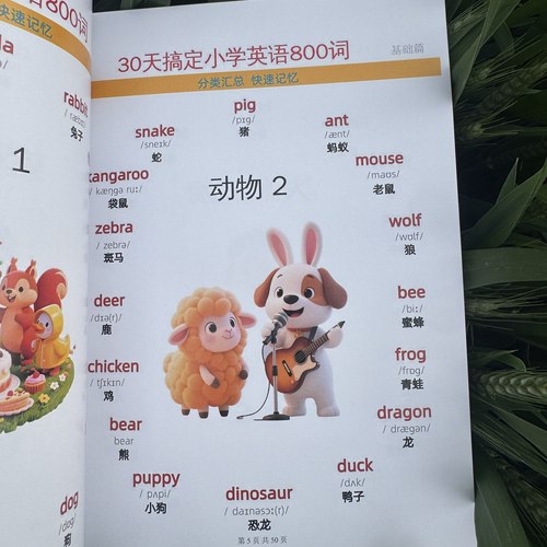 30天搞定小学英语800词彩色单词速记趣味学习