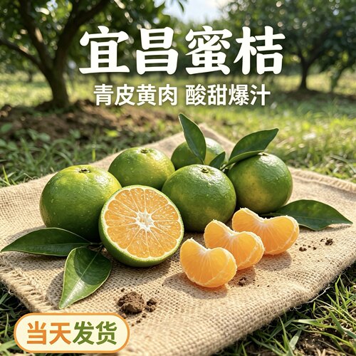 宜昌青皮蜜桔新鲜水果无籽当季孕妇水果酸甜多汁现摘现发皮薄包邮