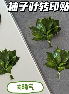 赵露思同款柚子叶转印贴水晶标手机去晦气转运笔记本水杯装饰贴