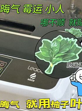 柚子叶转印贴水晶标手机空调去晦气转运防水平板笔记本水杯装饰贴