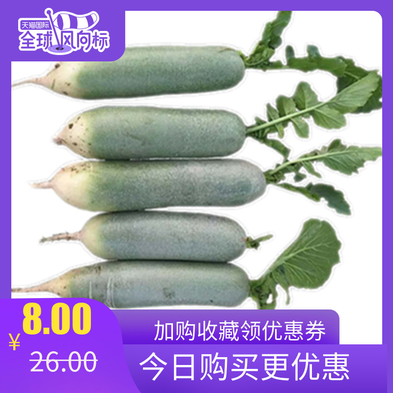 水果萝卜新鲜多汁脆甜绿皮绿心