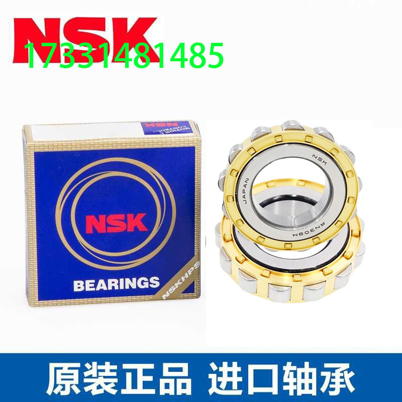 进口NSK日本减速机轴承RN/205/206/207/208/209/307/308/309/312M