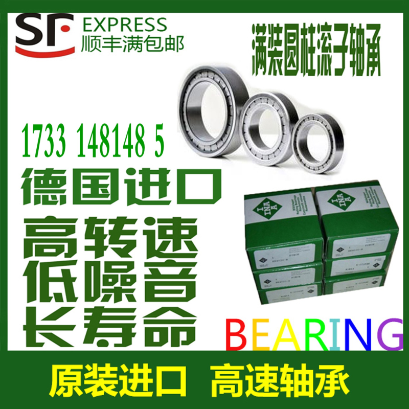 德国进口INA滚子轴承SL 185012 185013 185014 185015 A C3 XL NR