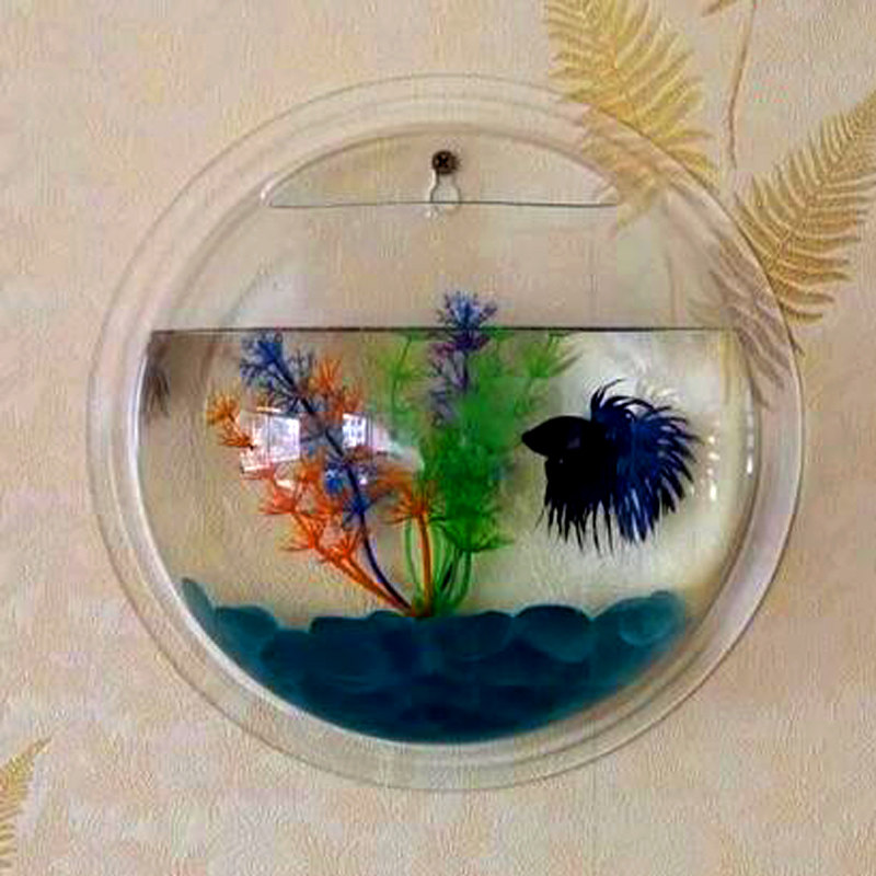 水培植物免打孔挂式墙壁小鱼缸