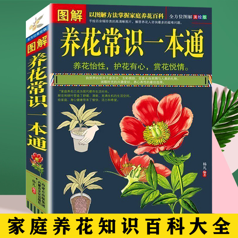 正版包邮现货 图解养花常识一本通（全方位图解美绘版）以图解方法掌握家庭养花百科 养花书 花卉大全 养花书籍种花大全 植物图鉴