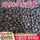 顺丰蓝莓速冻冷冻蓝莓果汁果酱饮品店烘焙果酱蓝莓原料 5斤 包邮