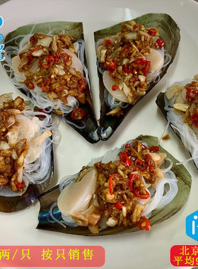 鲜活带子4-5两/只按只销售海鲜贝类贝壳绿贝蒜蓉粉丝扇贝丁柱元贝