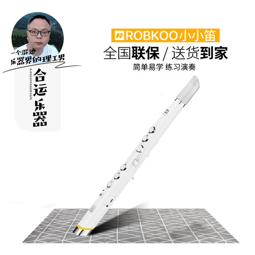 锣钹ROBKOO小小笛电吹管
