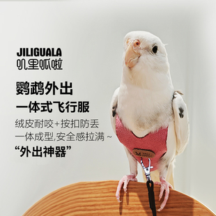 鹦鹉按扣放飞背心背带放飞绳牵引绳玄凤飞行服溜鸟绳马甲专用衣服