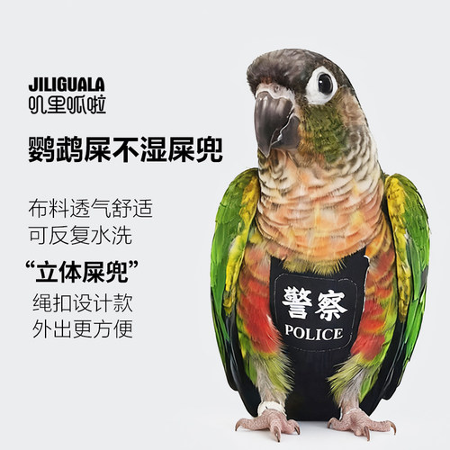 无底缝鹦鹉鸟用尿不湿衣服屎兜尿裤尿布飞行服玄凤牡丹虎皮放飞绳