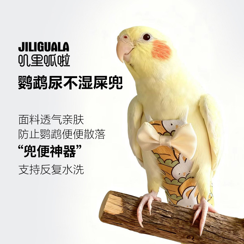 虎皮牡丹玄凤八哥鹦鹉衣服鸟用尿不湿尿布兜飞行服可爱一次性屎兜