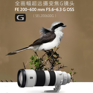 200 600mm F5.6 OSS全画幅超长变焦微单镜头 Sony 6.3G 索尼