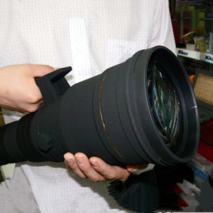 适马300-800mm f5.6 HSM远摄变焦单反镜头恒定光圈佳能尼康口拍鸟