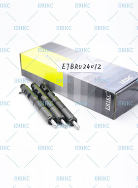 ERIKC德尔福喷油器EJBR02401Z适用于HYUNDA KIA Sedona喷油嘴总成