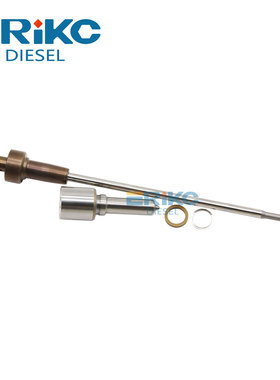 喷嘴大修包 DLLA162P2160 F00VC01502