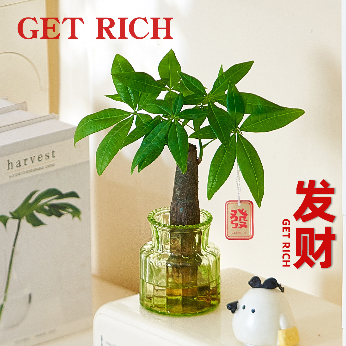 水培植物发财树办公室桌面招财绿植摆件室内懒人好养耐阴小盆栽