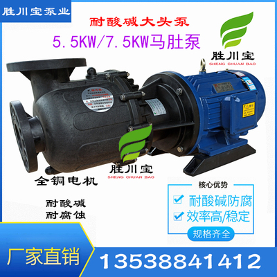 胜川宝耐酸碱电镀自吸泵