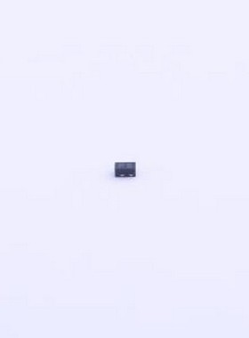 BDFN2C051V 静电和浪涌保护(TVS/ESD) BDFN2C051V X1-SON-2(0.6x1