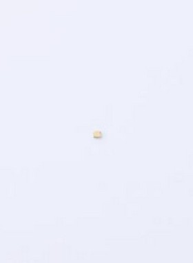 SC04701518 硅电容 47pF ±20% 100V -